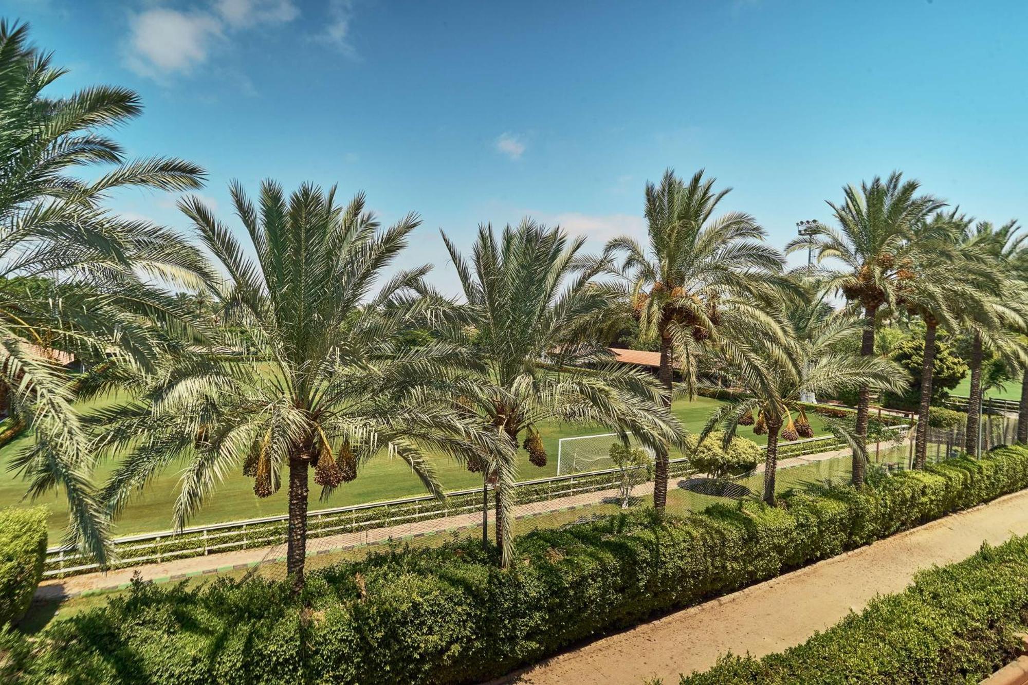 Hilton Alexandria King's Ranch אתר נופש